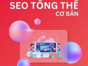 Dịch Vụ SEO website Tổng Thể