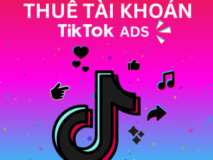 Dịch vụ Thuê Tài Khoản Quảng Cáo TikTok Ads