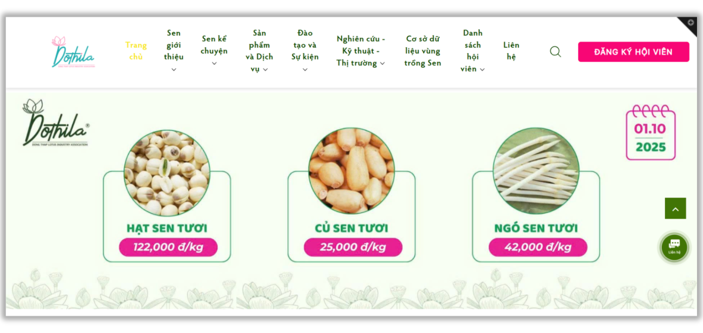 thiet ke website nong san dia phuong sen dong thap
